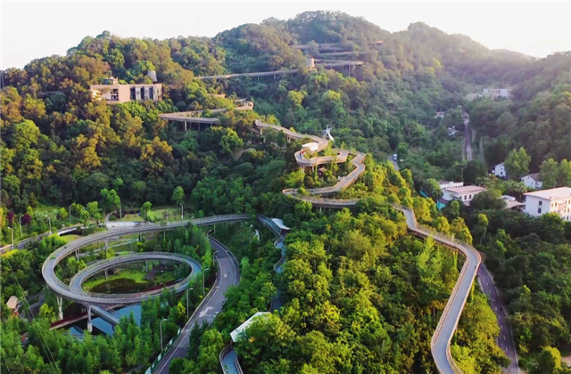 美狮贵宾会集团荣获两项国家级协会工程建设科学技术奖！